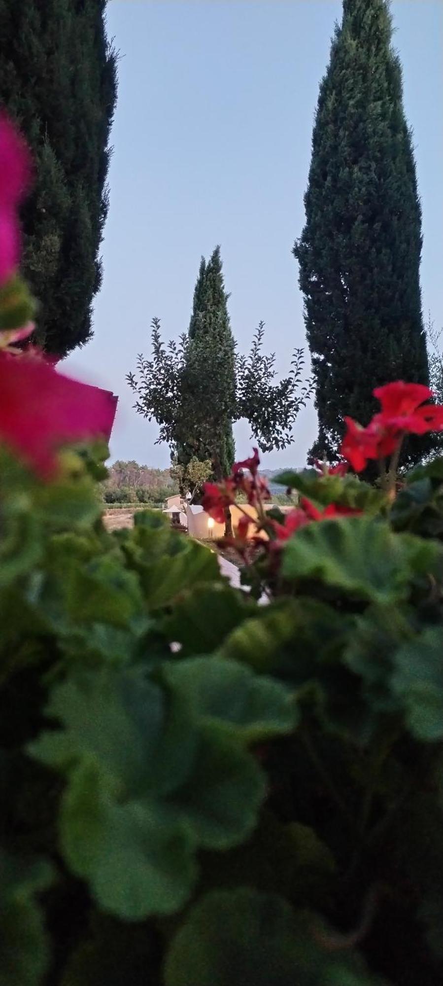 I Salici Agriturismo Badia Agnano Kültér fotó