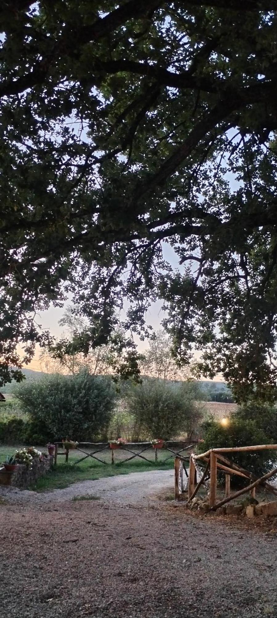 I Salici Agriturismo Badia Agnano Kültér fotó