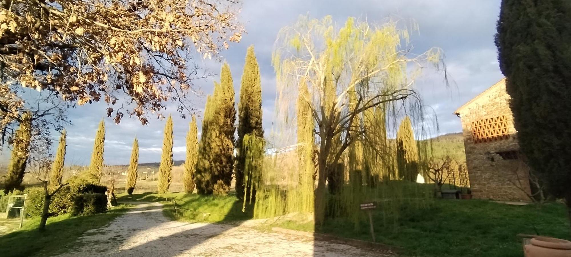 I Salici Agriturismo Badia Agnano Kültér fotó